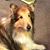 Shirley Anderson Chaputa's profile image