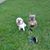 Paula Jewett's profile image