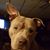 Beth Ann Brendlinger's profile image