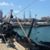 Wim Lambrechts's profile image