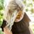 Tori Flood's profile image