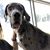 Debbie Weller Minton's profile image
