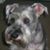 Janice Markham Tice's profile image