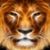 Diane Sylvester's profile image