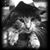 Kelli Sheehy Gaydon's profile image