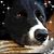 Candie Kilbourne's profile image