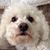 Kat Sigman's profile image