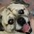 Matt N Tiffani Sheridan's profile image