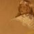 Corisa Cobden's profile image