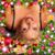 Valarie Engler's profile image