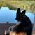 Doug Schultetus's profile image