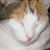 Korie Ashley's profile image
