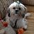 Kathy Branch Morgan's profile image