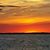 Pamela Burchett Johnston's profile image
