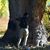 Kenny Johnson's profile image