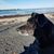 JoAnne Jordan-Kalber's profile image