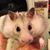 Roxanne Routt's profile image