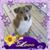 Carol Marie Castonguay's profile image
