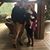 Savannah Gossett's profile image