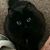 Karen Losey Travis's profile image