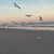 Della Jeanette Dunston's profile image