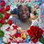 Stephanie Wilson's profile image