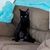 Peggy J. Davis's profile image