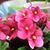 Sherree Robinson's profile image