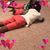 Shanale Hollis's profile image