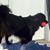 Lori Marshall Burgess's profile image