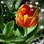 Mary Stanton's profile image