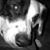 Megan Riggs's profile image