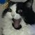 Mary Hager's profile image