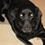 Susan Bousquet's profile image