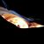 Lisa Durnell Valko's profile image