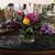 Darlene V Brown's profile image