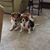 Michele Lowther Kelly's profile image