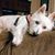Elizabeth Yarber Beavers's profile image