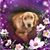 Darlene Flory's profile image