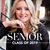 Debi Feldhahn Allbery's profile image