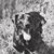 Gavin Mahr's profile image