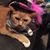 Louis Carroll's profile image