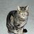 Francine Blair's profile image