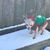 Amanda Jo Topich's profile image