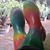 Lurline P Hodnett's profile image
