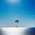 Dan Lee Wildermuth's profile image
