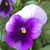 Judy Bryant's profile image