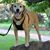 Kari Sutphin Donaldson-Weist's profile image