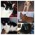 Laura Greenlow's profile image
