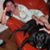 Djenita Pasic's profile image